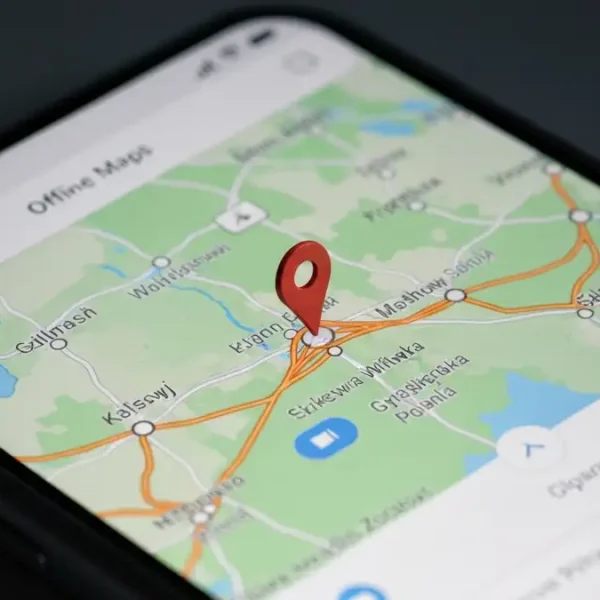 Ekran telefonu pokazujący Google Maps w trybie offline z mapą Polski i wskaźnikiem lokalizacji
