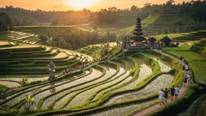 Piękny widok na tarasy ryżowe i świątynię w Ubud, Bali, podczas zachodu słońca